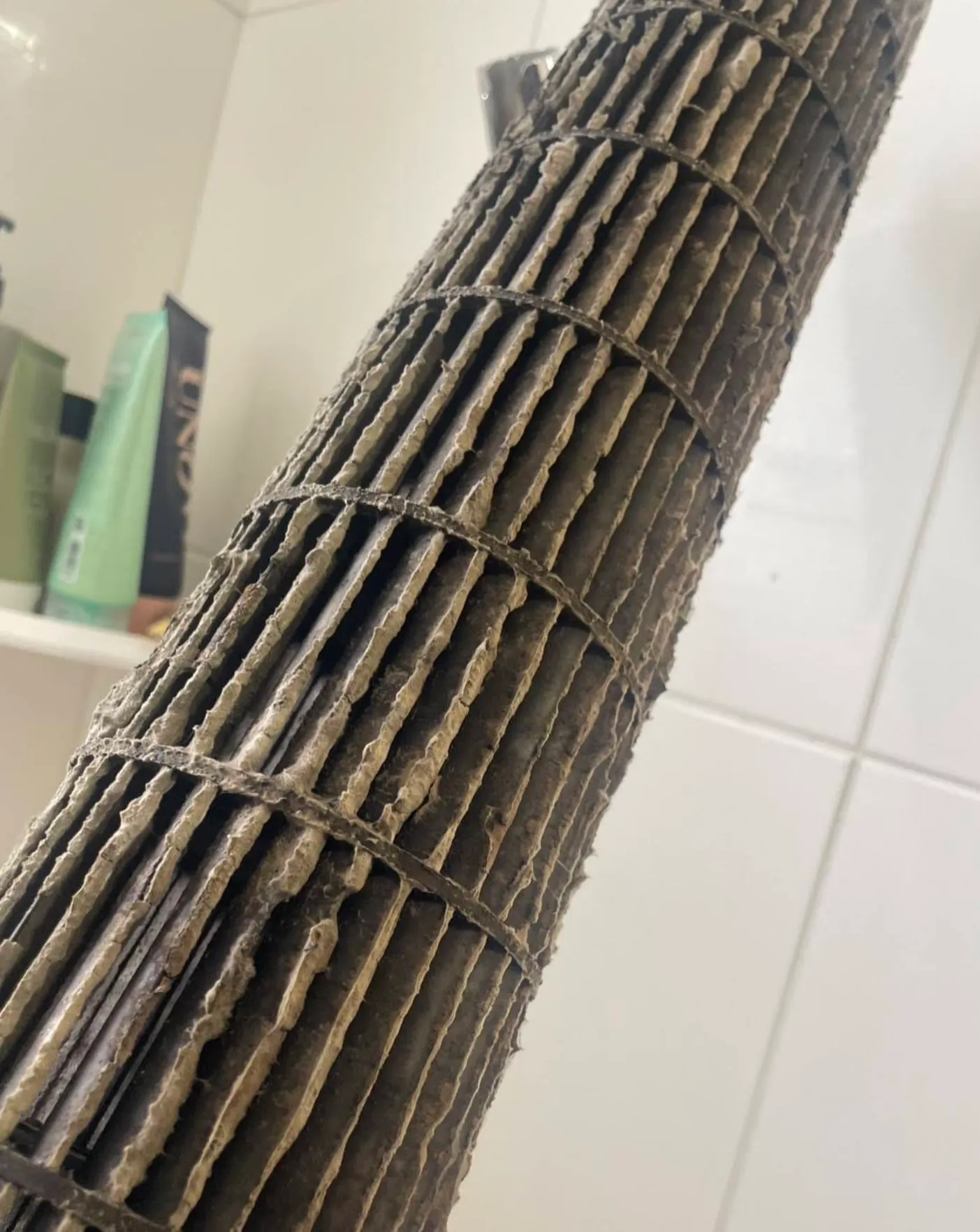 除霉後的冷氣煥然一新